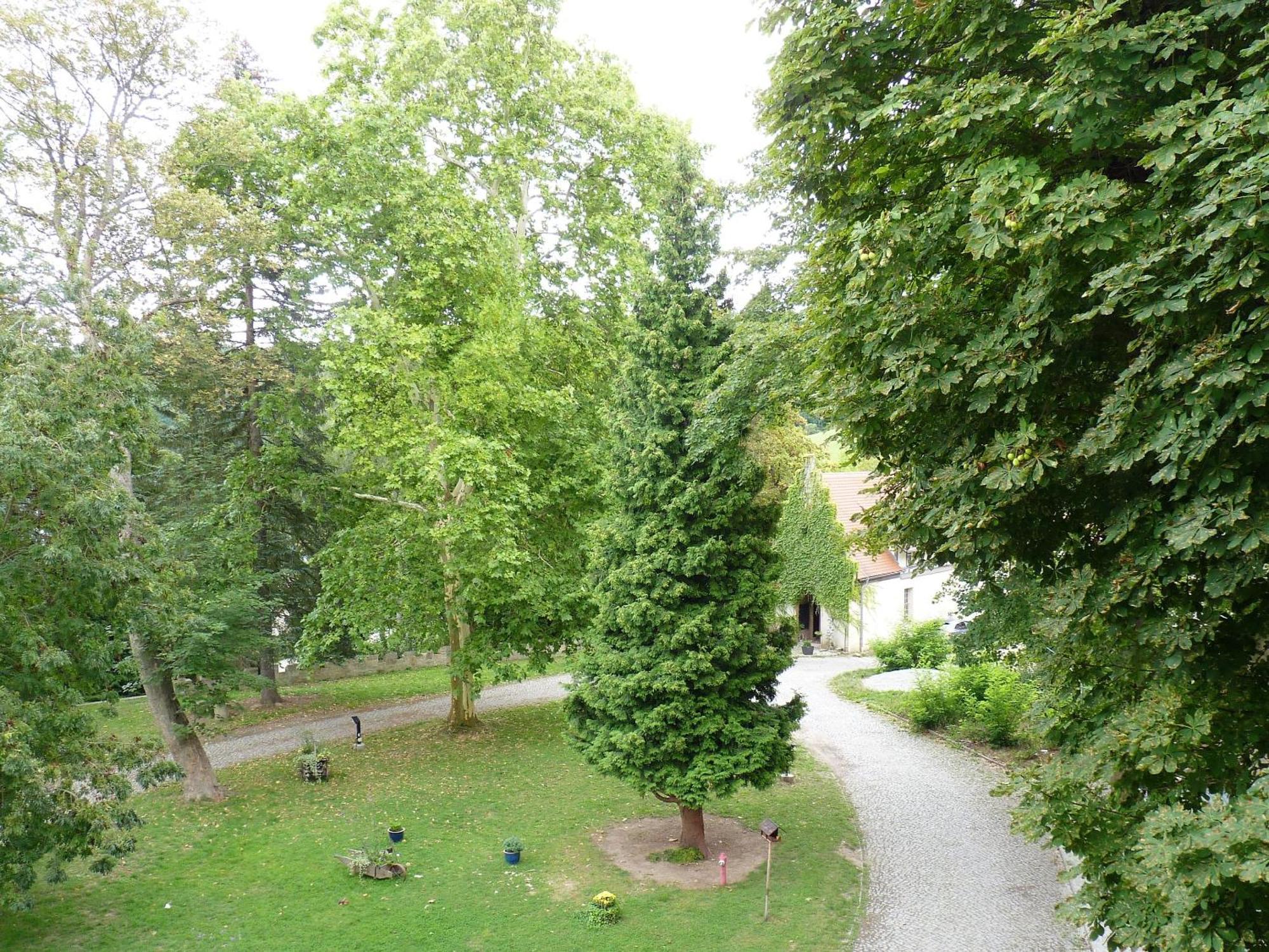 Hotel & Restaurant Schloss Weissenburg Uhlstädt الغرفة الصورة